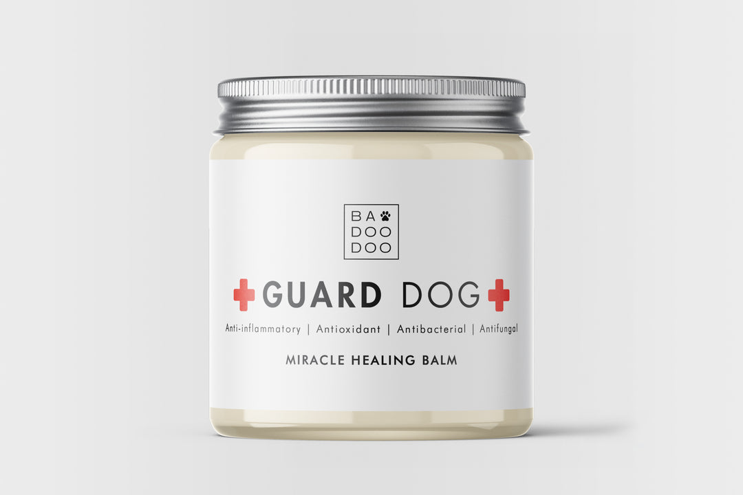 Badoodoo Gaud Dog