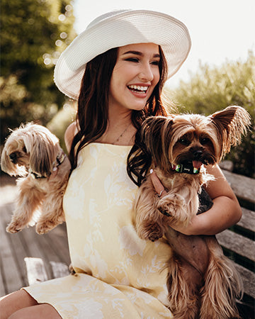 Girl In Sun Dress Holding 2 Yorkies