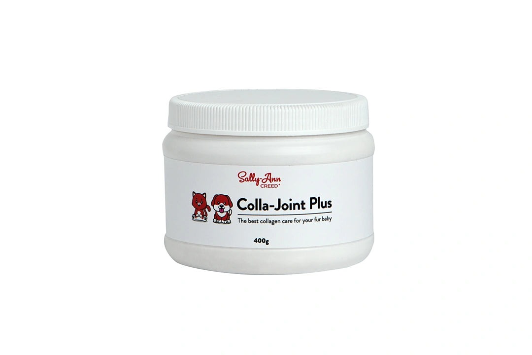 Colla-Joint Plus