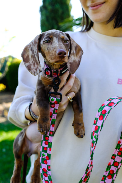 Cherry Leash by Wild Barks (pre-order)