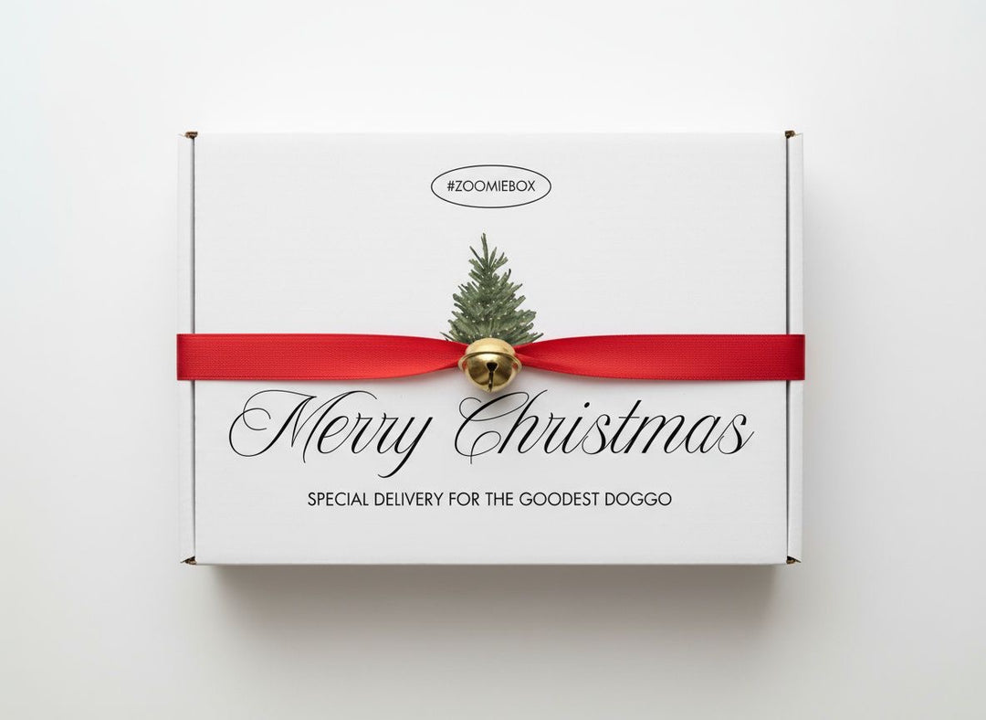 Zoomie Box Christmas Edition