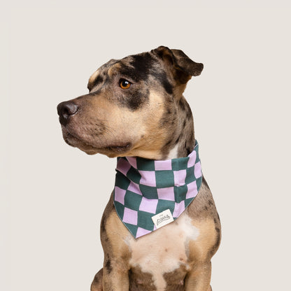 Dog Bandana – Multi Check