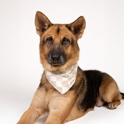Dog Bandana – Beige Check