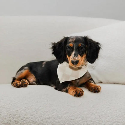 Dog Bandana – Beige Check