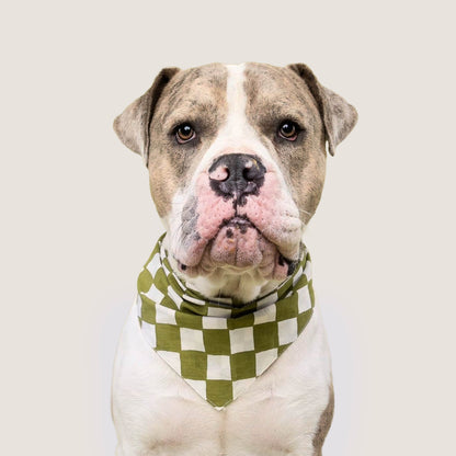 Dog Bandana – Green Check