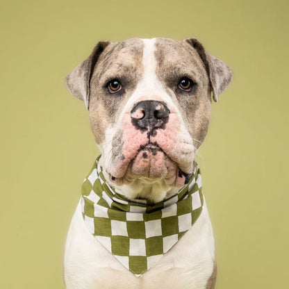 Dog Bandana – Green Check