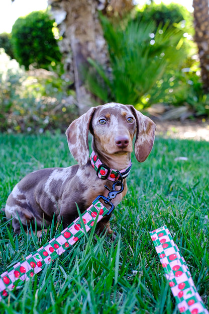 Cherry Collar by Wild Barks (pre-order)