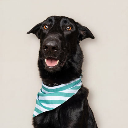 Dog Bandana – Blue Stripe